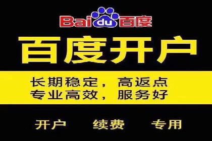 某品牌SEM广告的蜕变——代运营公司的力量